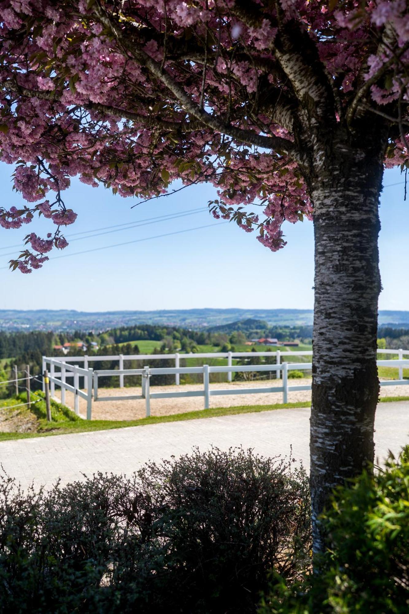 Gut Buchenhof Apartment Buchenberg  Екстериор снимка